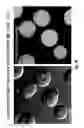 Fig. 07 - Conformationally-constrained kinked endosomal-disrupting peptides