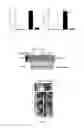 Fig. 09 - Anti-inflammatory lipopeptide and preparing method and application thereof