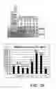 Fig. 03 - Method for treating spinal cord injury using HMGB1 fragment