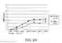 Fig. 04 - Method for treating spinal cord injury using HMGB1 fragment