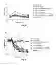Fig. 06 - ACYLATED GLUCAGON ANALOGUES
