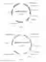Fig. 02 - Method for preparing homodimer protein mixture by using charge repulsion effect