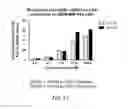 Fig. 09 - HETERODIMER BINDING PROTEINS AND USES THEREOF