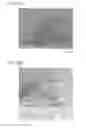 Fig. 29 - BONDING MEMBER