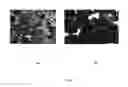 Fig. 02 - Preparation of polymer modified bitumen (PMB) from polyethylene terephthalate (PET) derived polyamido amine