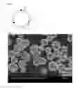 Fig. 02 - Copper containing particle and method for manufacturing same