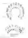 Fig. 03 - Repeat protein from collection of repeat proteins comprising repeat modules