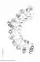 Fig. 06 - Repeat protein from collection of repeat proteins comprising repeat modules