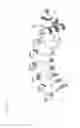 Fig. 07 - Repeat protein from collection of repeat proteins comprising repeat modules