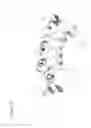 Fig. 08 - Repeat protein from collection of repeat proteins comprising repeat modules
