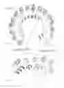 Fig. 11 - Repeat protein from collection of repeat proteins comprising repeat modules