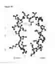 Fig. 13 - Repeat protein from collection of repeat proteins comprising repeat modules