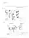 Fig. 14 - Repeat protein from collection of repeat proteins comprising repeat modules