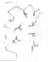 Fig. 15 - Repeat protein from collection of repeat proteins comprising repeat modules