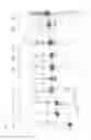 Fig. 32 - Repeat protein from collection of repeat proteins comprising repeat modules