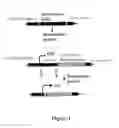 Fig. 02 - Site-Specific Serine Recombinases and Methods of Their Use