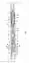 Fig. 02 - Method of treating a downhole formation using a downhole packer