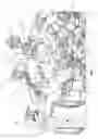 Fig. 09 - Air intake assembly for a vehicle