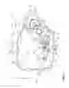 Fig. 06 - Variable speed drive for internal combustion engine