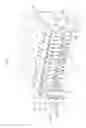 Fig. 02 - Manifold solenoid valve