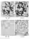 Fig. 02 - Automated methods, kits, and systems for clarifying obfuscating pigments in histology samples