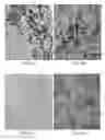 Fig. 03 - Automated methods, kits, and systems for clarifying obfuscating pigments in histology samples