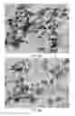 Fig. 04 - Automated methods, kits, and systems for clarifying obfuscating pigments in histology samples