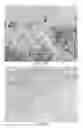 Fig. 16 - Automated methods, kits, and systems for clarifying obfuscating pigments in histology samples
