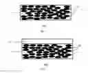 Fig. 02 - Apparatus for Sensing Environmental Chemistry Changes