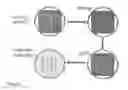 Fig. 02 - Method and system for in vitro developmental toxicity testing