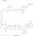 Fig. 07 - METHOD FOR DETERMINING KINASE ACTIVITY