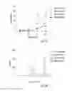 Fig. 08 - CD28 expression during lenalidomide immune modulation