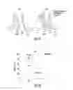 Fig. 09 - CD28 expression during lenalidomide immune modulation