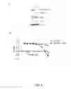 Fig. 06 - Methods of evaluating patients using E-cadherin and vimentin