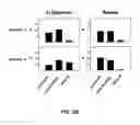Fig. 08 - METHODS FOR DIAGNOSIS, PROGNOSIS AND METHODS OF TREATMENT