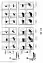 Fig. 40 - METHODS FOR DIAGNOSIS, PROGNOSIS AND METHODS OF TREATMENT