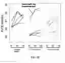 Fig. 48 - METHODS FOR DIAGNOSIS, PROGNOSIS AND METHODS OF TREATMENT