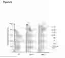 Fig. 07 - METHODS FOR DETERMINING RESISTANCE AGAINST MOLECULES TARGETING PROTEINS