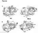Fig. 09 - METHODS FOR DETERMINING RESISTANCE AGAINST MOLECULES TARGETING PROTEINS