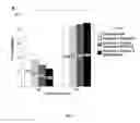 Fig. 08 - BIOMARKERS FOR THE PROGNOSIS OF ISCHEMIC STROKE