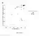 Fig. 09 - BIOMARKERS FOR THE PROGNOSIS OF ISCHEMIC STROKE