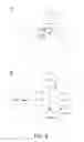 Fig. 09 - DETERMINING DISEASE STATES USING BIOMARKER PROFILES