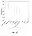 Fig. 08 - Methods and Devices for Detecting Diabetic Nephropathy and Associated Disorders