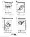 Fig. 46 - Methods and Devices for Detecting Diabetic Nephropathy and Associated Disorders