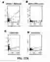 Fig. 48 - Methods and Devices for Detecting Diabetic Nephropathy and Associated Disorders