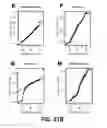 Fig. 65 - Methods and Devices for Detecting Diabetic Nephropathy and Associated Disorders
