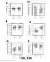 Fig. 72 - Methods and Devices for Detecting Diabetic Nephropathy and Associated Disorders