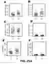 Fig. 75 - Methods and Devices for Detecting Diabetic Nephropathy and Associated Disorders