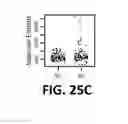 Fig. 77 - Methods and Devices for Detecting Diabetic Nephropathy and Associated Disorders