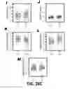 Fig. 80 - Methods and Devices for Detecting Diabetic Nephropathy and Associated Disorders